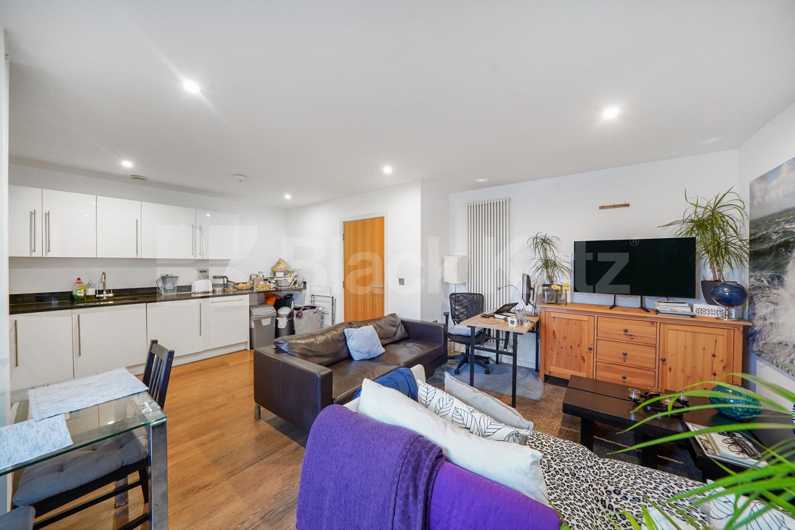 Flooded with natural light,south facing & dual aspect  Boulevard Mansions.Borough Road, Borough